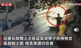 镇平虎哥爆料事件视频,揭秘背后真相与争议