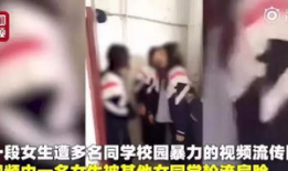 洪老六深夜爆料视频大全,视频大全揭秘娱乐圈幕后真相