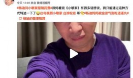 美王妈妈爆料视频大全集,揭秘幕后真相与感人瞬间
